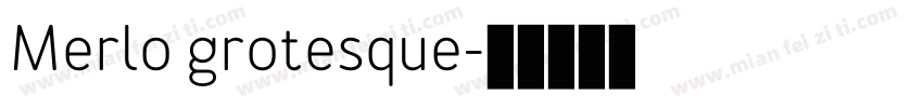 Merlo grotesque字体转换